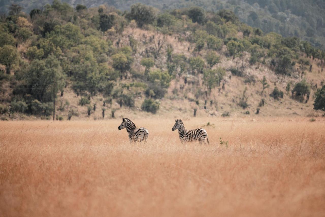 Dawsons Game Lodge Badplaas Ngoại thất bức ảnh